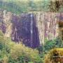 Minyon Falls - Nightcap National Park