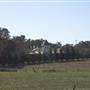 Molong