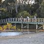 Moonee Beach