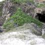 Point Plomer - Limeburners Creek National Park