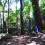 Mount Keira Scout Camp File 1