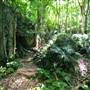 Mount Keira Scout Camp File 1