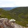 Mt Banks Summit Walk & Picnic Area