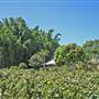 Private House - Port Macquarie