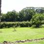 Private House - Port Macquarie