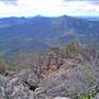 Mount Kaputar National Park