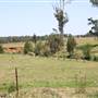 Riverstone Farmland & Eastern Creek