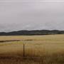 Paddys Creek Rd, Dubbo