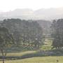 Rolling Hills - Southern Highlands