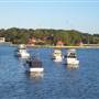 Rodd Island, Sydney Harbour National Park