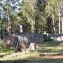 Port Macquarie Area