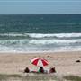 Port Macquarie Area