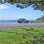 Port Macquarie Area