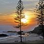Port Macquarie Area