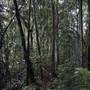 Port Macquarie Area