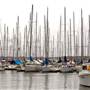 Rushcutters Bay Park