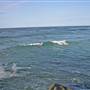 Port Macquarie Beaches