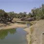 Wilcannia