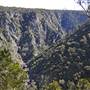 Tia Falls