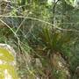 Tweed - McKenzie Property