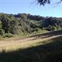 Tweed - McKenzie Property