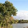 Tweed River - Tumbulgum