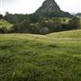 Tweed Valley 1 of 2