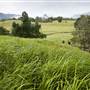 Tweed Valley 1 of 2