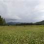 Tweed Valley 1 of 2