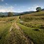 Tweed Valley 1 of 2