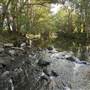 Tweed Valley 1 of 2