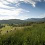 Tweed Valley 1 of 2