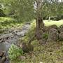Tweed Valley 1 of 2