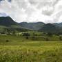 Tweed Valley 1 of 2