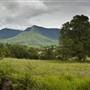 Tweed Valley 1 of 2
