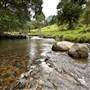 Tweed Valley 1 of 2