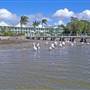 Yamba