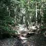 Upper Crystal Creek