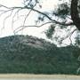 Parkes