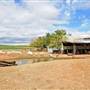 Sheep Station