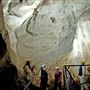 Wellington Caves Complex