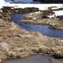 Perisher