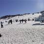 Perisher