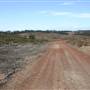 Penrose State Forest - Southern Highlands