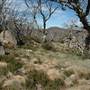 Perisher