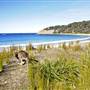 Pebbly Beach