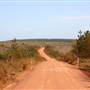 Penrose State Forest - Southern Highlands