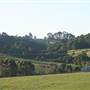 Robertson - Southern Highlands