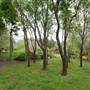Red Cow Farm - Southern Highlands