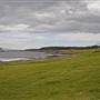 Shellharbour 1
